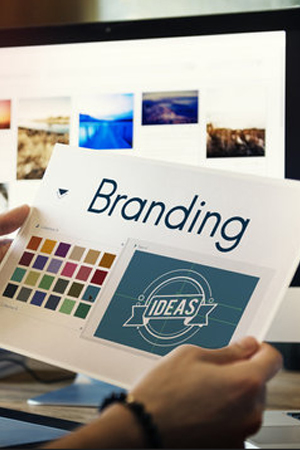 Website Design and Development